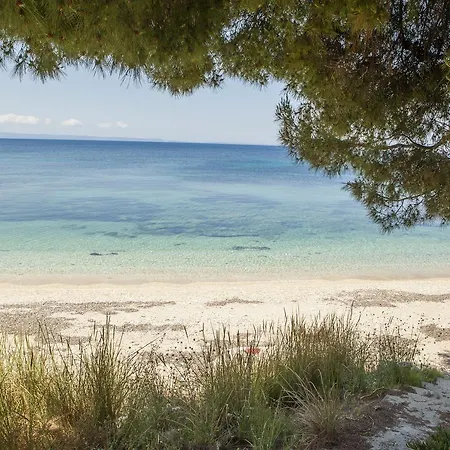 #flh - Traditional House 2, Kastri * Nikiti (Sithonia)